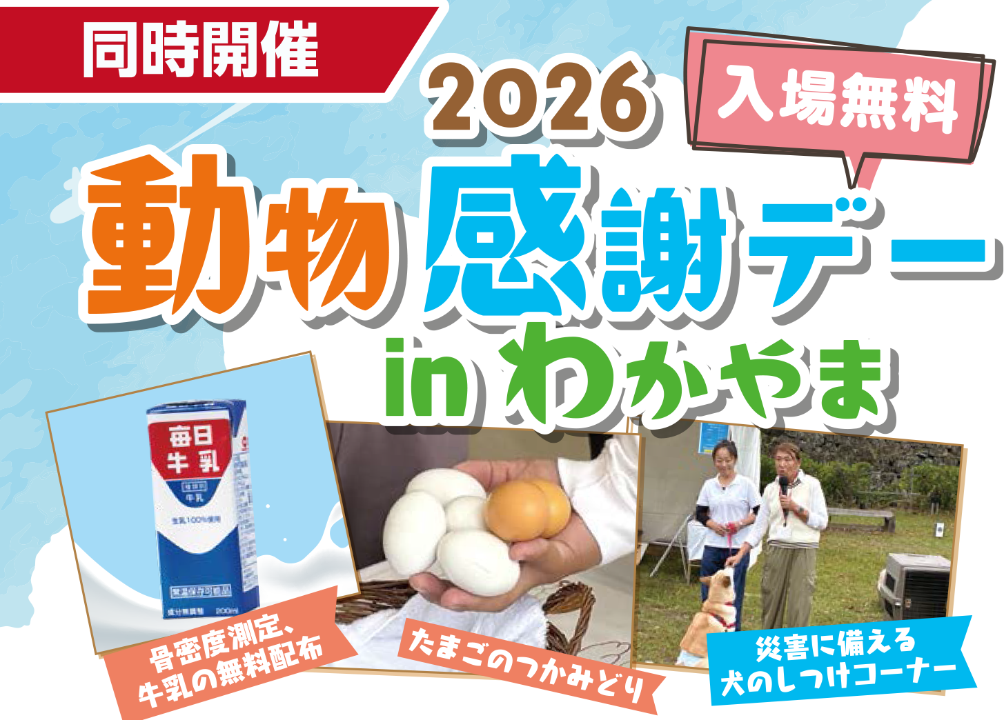 画像3